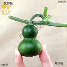 ī�G���J������J��Ƥ�ְѼ�����J���rС�����������