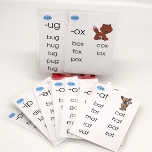 �F؛�羳 ��ͯȤζ����ɫ����ˮ�������J֪���~�� flash cards