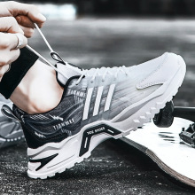 ҬЬļ͸⳱W\ܲeϵЬ԰ٴwЬp