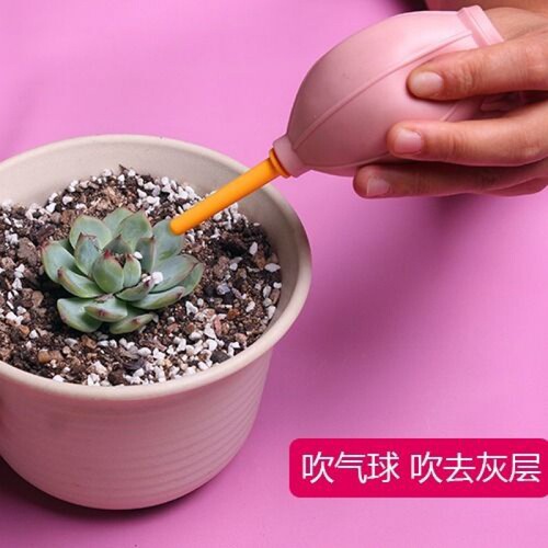 Succulent tools gardening tool set package planting gadgets gardening three-piece set spray kettle watering kettle shovel