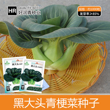 Slڴ^˷NӺ~_KͲ˷NС๣ͺļ