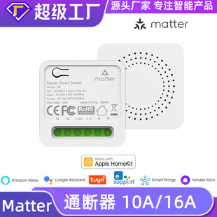 Matter Switch 16A/10A Cross-Platform Homekit Remote Control Alexa Voice Google Smart Switch