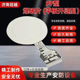 正拱普通型 LP 爆破片压力容器泄压片储罐管道正拱型金属爆破膜片