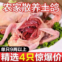 【顺丰包邮】正宗土鸽9两特大乳鸽鸽子带爪孕妇滋补净重不含冰