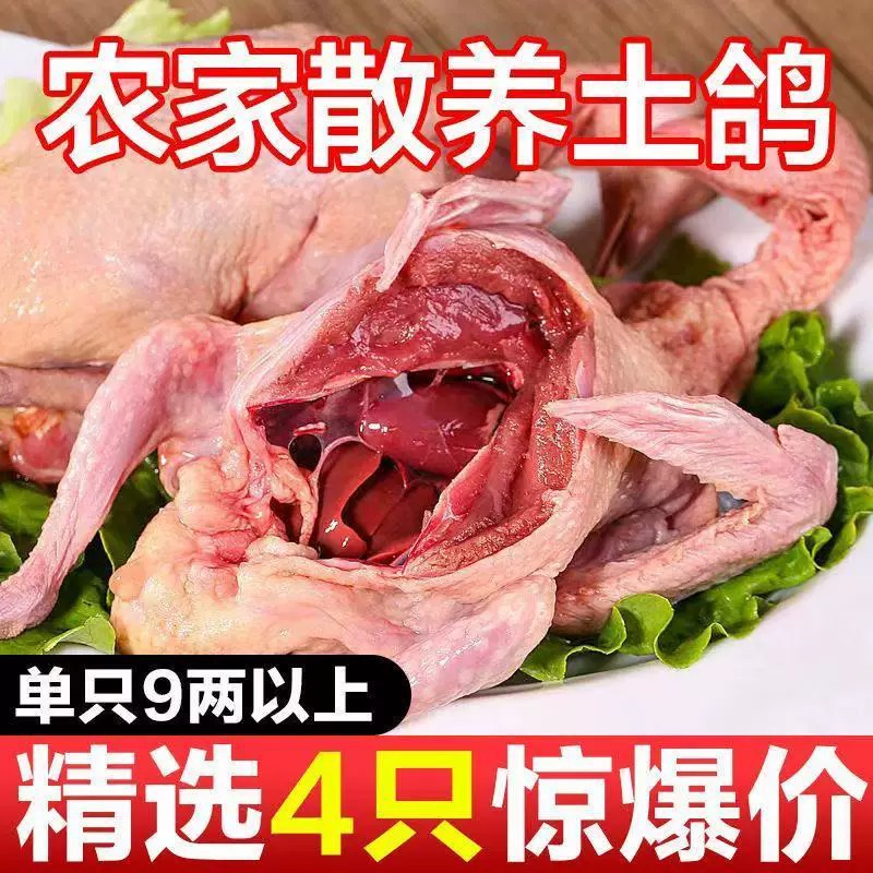 【顺丰包邮】正宗土鸽9两特大乳鸽鸽子带爪孕妇滋补净重不含冰
