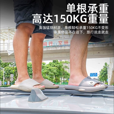 Platform Ladder, Tank Roof rack