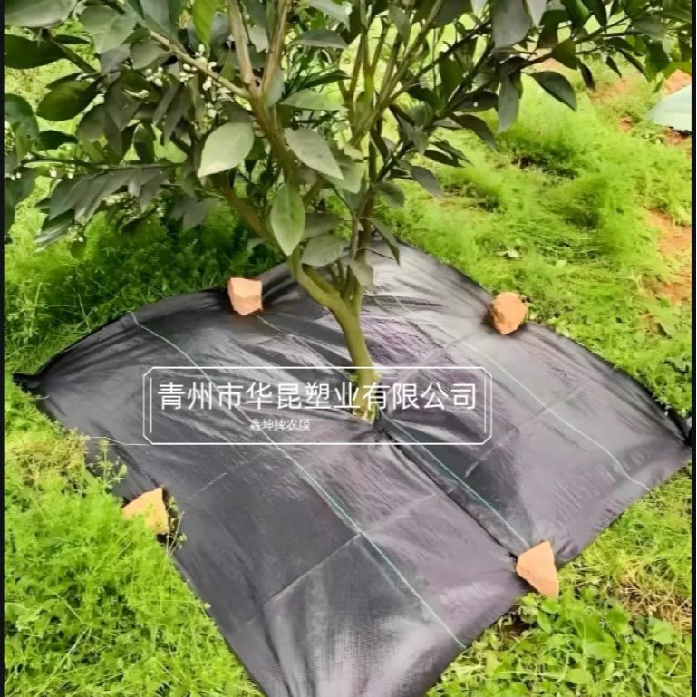 Ткань для защиты от сорняков с перфорацией, многофункциональная тканая ткань с ломтиками, влагоотводящая и проницаемая с отверстиями, поставки производителя для сельского хозяйства рассады.