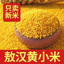 赤川敖汉黄小米1斤2022新米赤峰产养胃粗杂粮小米煮粥月子米