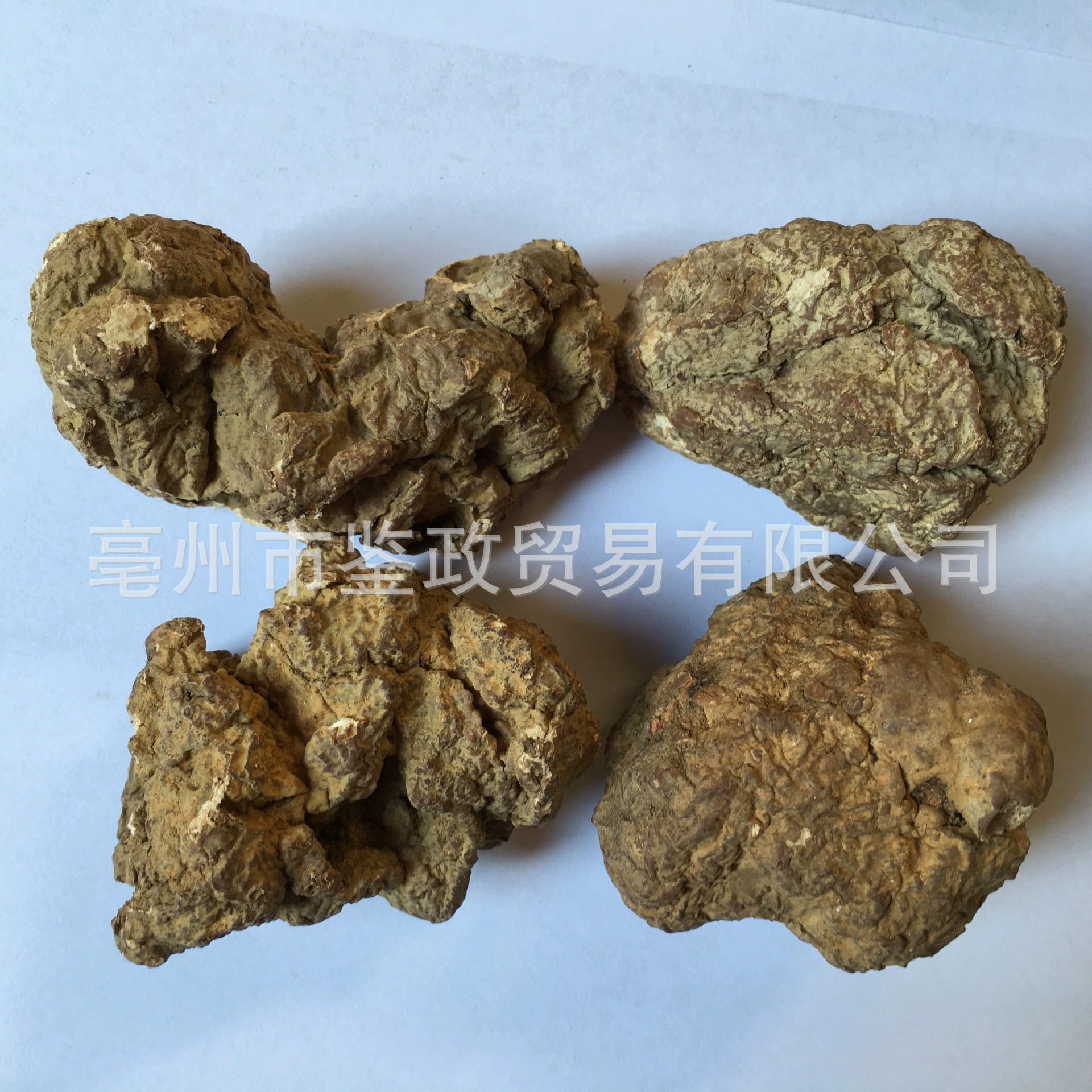 Tiger Milk Mushroom Slices Hu Ru Jun Dried Soup Herb for Nourishing Broths key features