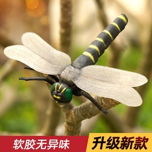 Explosive Simulation Wildlife Large Insect Model Children's Early Education Cognitive Animal Toy Spider Model Cross-Border