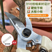 ¿֦@֦ʡ޼֦֦@ˇ֦