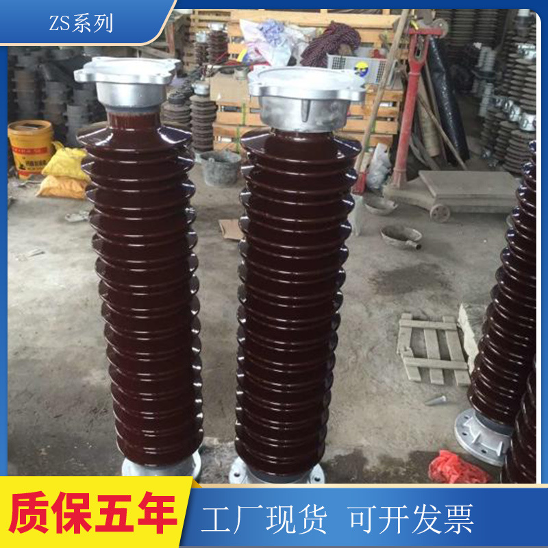 现货支柱绝缘子高压棒形陶瓷支柱绝缘子ZSW-4.05/6户外电力器材