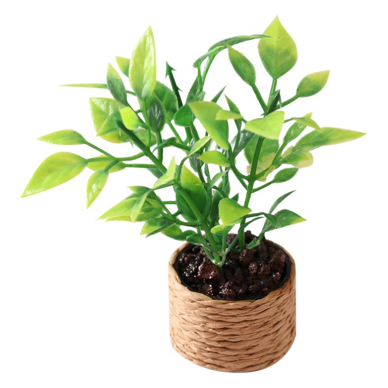 Comida en miniatura y jugar Orange Tree mini modelo 1:12 puntos ob11 casa de muñecas planta