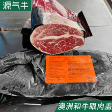 ���޺�ţ�����wM3-5�����wԭ�л�偟������ţ�����Ϳ����������l