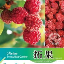 �ع��N���}��������ʽ���˷N�Ӯ������r�N�������ع��N����Ʒϡ��