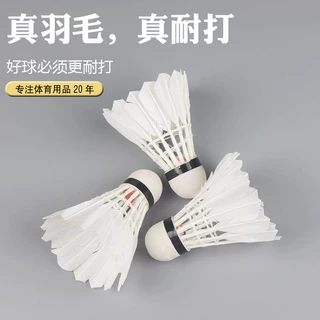 风速厂家生产批发真羽毛球三只装训练耐打12只装比赛用球羽毛球