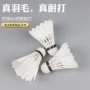 风速训练生产比赛羽毛球