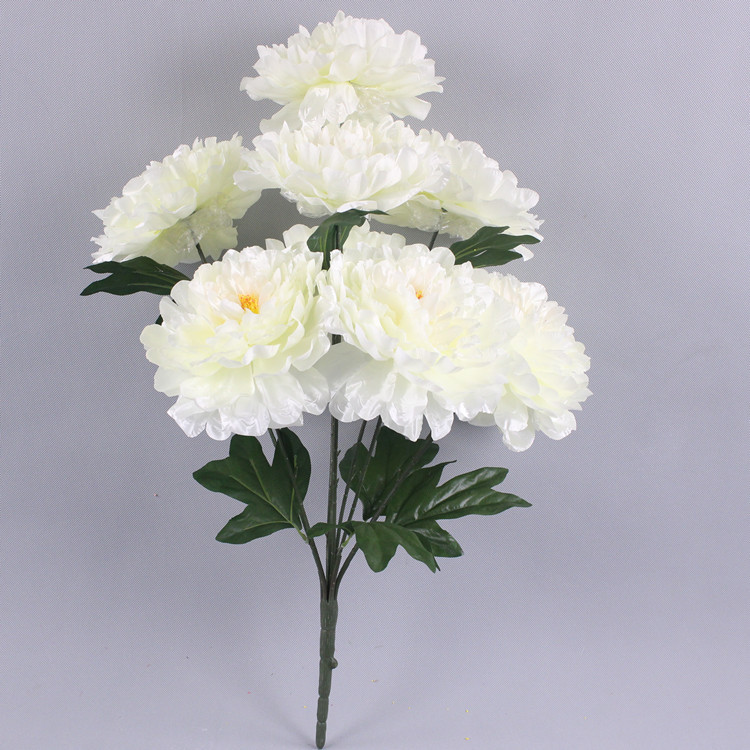 9 Fortune Peony (White)