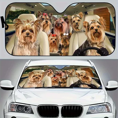 Sun shade – to Install and Store - 130cm70cm-yorkie-dog