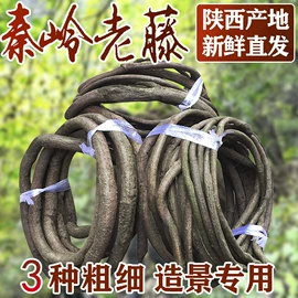 仿真花;仿真绿植;仿真草皮