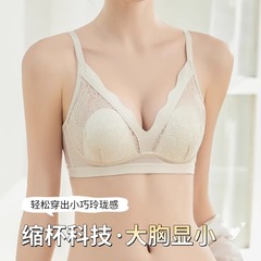 2313オリジナルの大きい胸は小さい下着の女性のレースのウサギの耳の杯の背中を現して支えます。