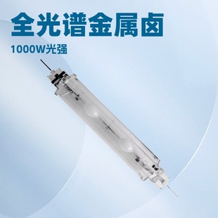 New Generation 1000W DE CMH Lamp 3000K Full Spectrum Metal Halide for Hydroponic and Greenhouse