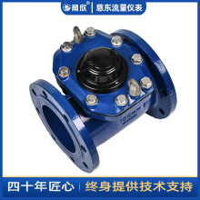 DN300ˮƽɲʽˮɎlӍ Iˮˮl