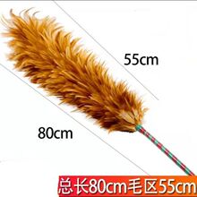 ���uë�����Ԯa���N�Ӻ񲻵�ë����С��܇�ó��m���坍�߻ҿ���s