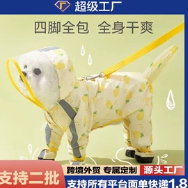JK袜;洛丽塔袜;运动休闲棉袜