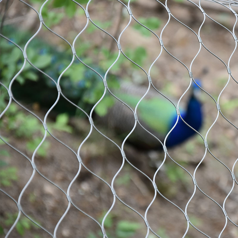 厂家生产不锈钢绳网钢丝绳网304不锈钢绳网植物攀爬网高空防坠网