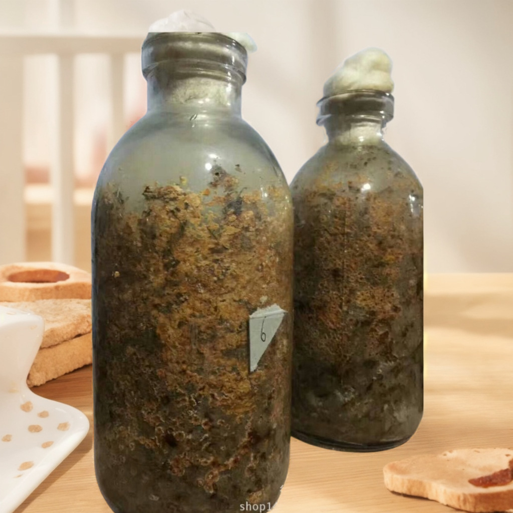 工厂直销组培瓶食用菌玻璃菌种瓶制作750ml食用蘑菇培植广口瓶