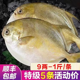 ����K�~5�l�����K�~���r����y�K���K���r��ˮ�a���l��S���