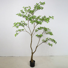 �Gֲ�٘侰�^�t�^ľ��������M�üt�亣�u������[���Ƶ껨ˇ��֦