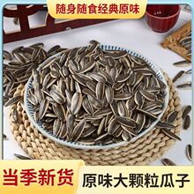 原味炒瓜子批发代发包邮 当季新货原味瓜子葵花籽炒熟干炒瓜子
