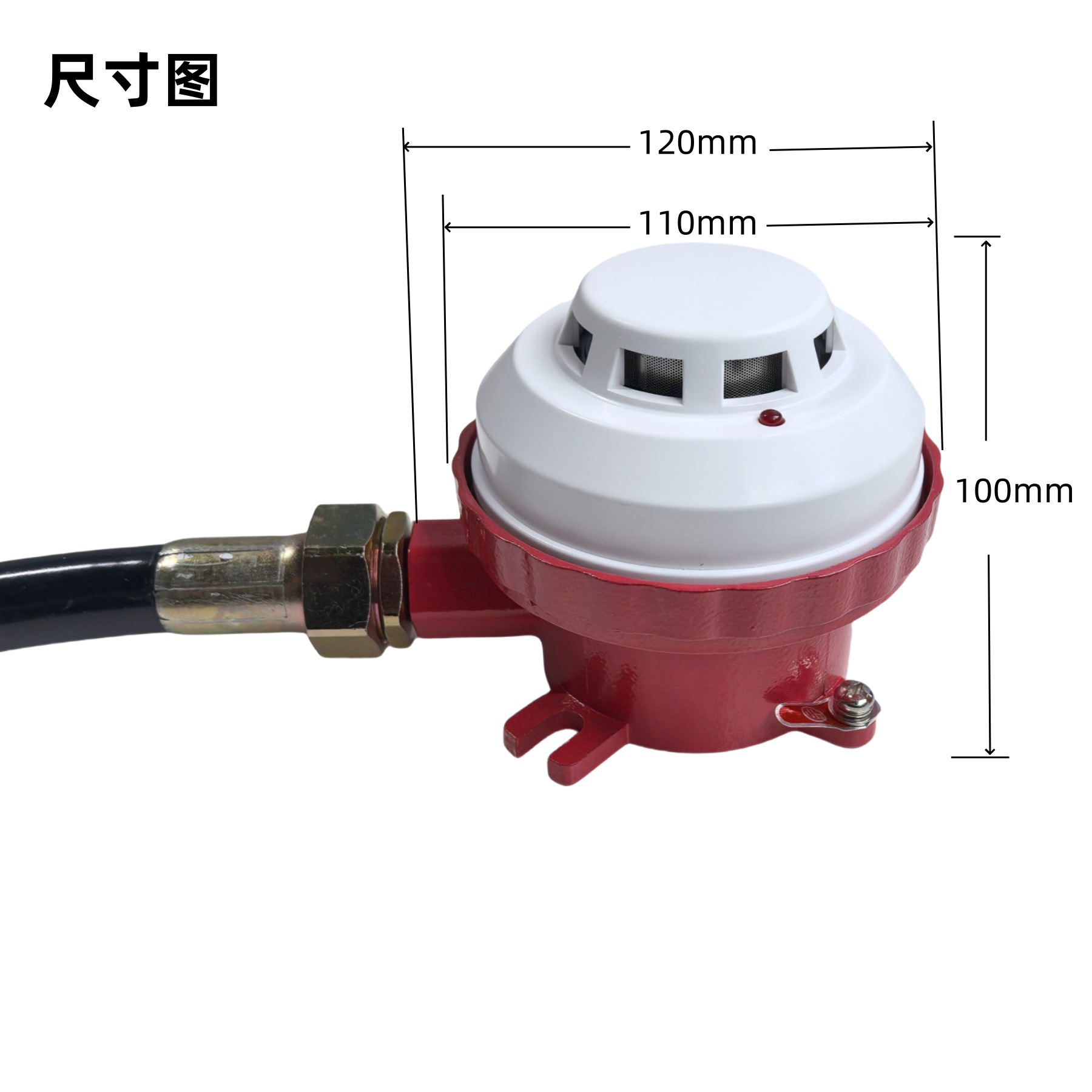 IMG_20250306_172031_副本