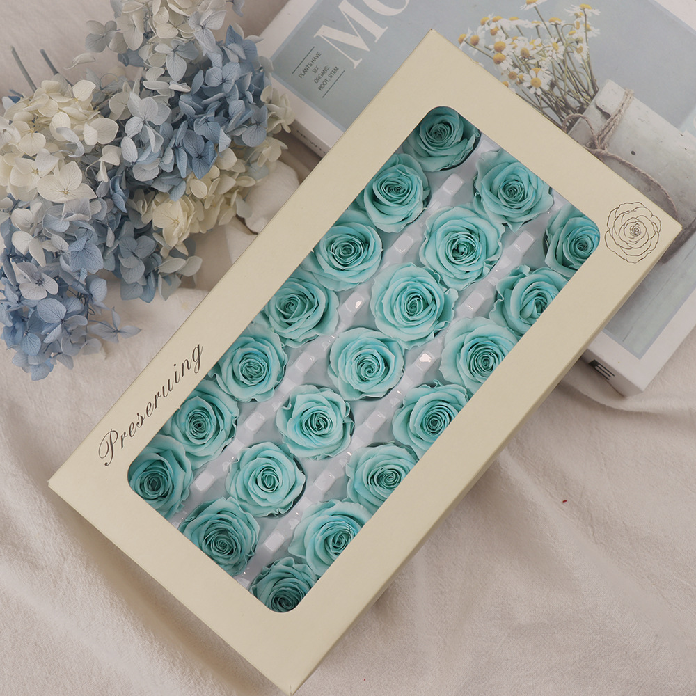 Grado B Tf azul 2-3cm/caja de 21 flores