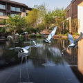 定制户外大型水景雕塑 仙鹤庭院摆件 园林景观动物镜面不锈钢雕塑