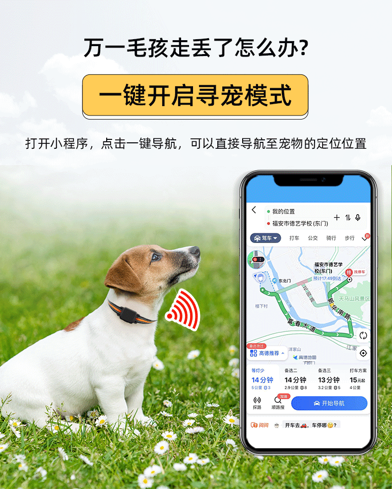 宠物定位器_07.gif