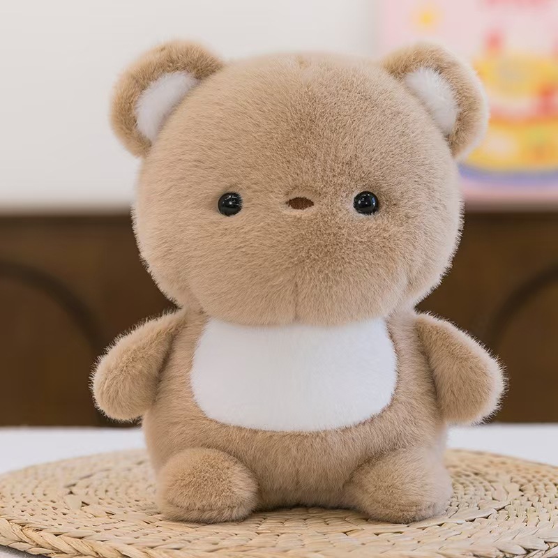 Cute brown bear
