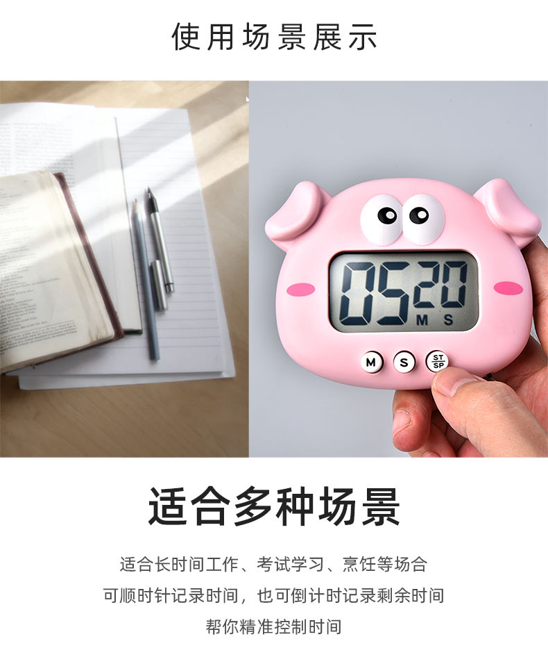 RB601小猪电子定时器05