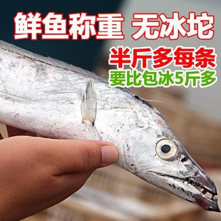 ���r���~��5����~�ؼ��ж�С�۵��~���r�S���|�����~�zɽ�|