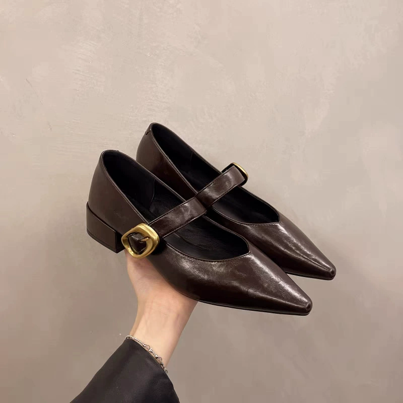 Ретро остроконечные одиночные туфли женщины 2025 новый темперамент мягкий подошв удобная мода дикая толстая каблука мари Джейн женская обувь