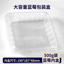 大容量蓝莓内盒500g一次性透明pet吸塑盒蓝莓包装盒厂家批发现货