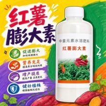红薯控旺膨大素增产控上促下预防畸形防裂果高产红薯专用肥营养液