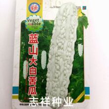 湘南牌正宗蓝山大白苦瓜籽种子长圆筒形棱麻粗瓜长30-35cm产量高