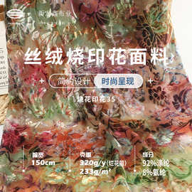 金丝绒烧花烂花布 韩国进口高档礼服旗袍绒面料 涤氨弹力女装布料