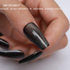 Nail stickers, fake nails for nails, cat's eye, wholesale