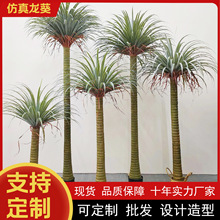 ����z�m�����Ա��W�L���m�F�٘����������U��Ѫ���b��������