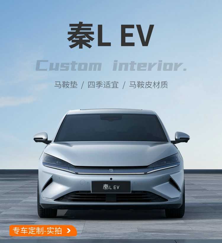2025 Byd Qin Lev Advanced Nappa Leather Pu Base Saddle Cushion Breathable Car Seat Cushion Special Seat Cover