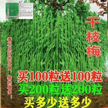 ͥԺ׷N߲֦÷LǷNL_1.2ظ߮a